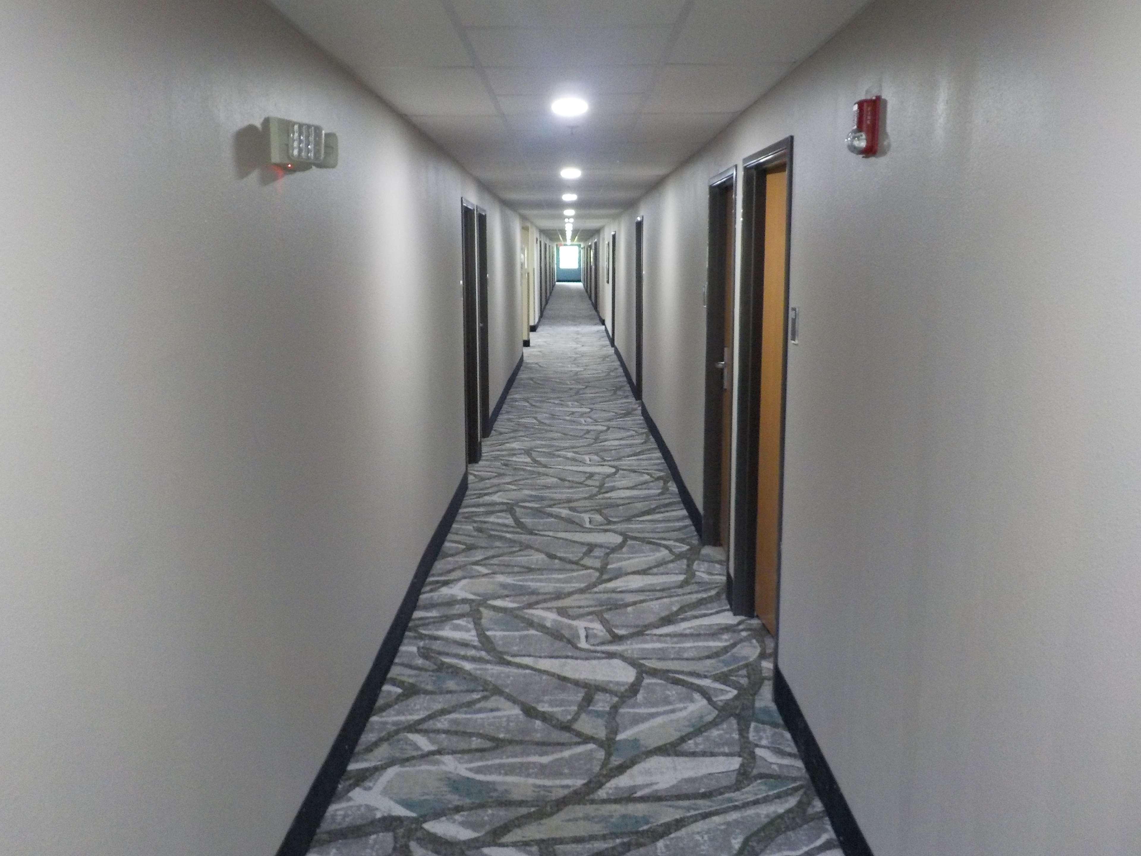 Mj Inn And Suites Marienville Інтер'єр фото